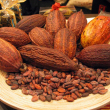 El Cacao