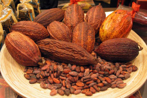 El Cacao