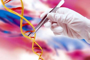 Identifican genes de la diabetes