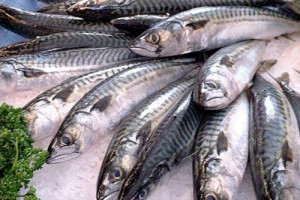 Comer pescado rejuvenece