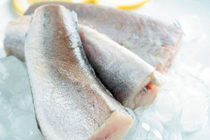 Promueven el consumo de pescado para combatir la obesidad infantil