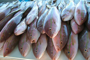 Los riesgos de comer pescado crudo